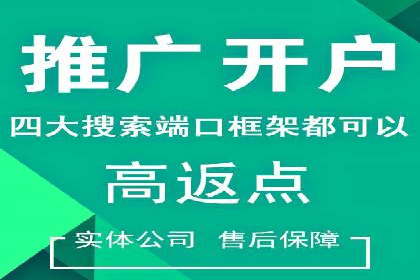 某行业竞价推广的挑战与机遇——多案例研究